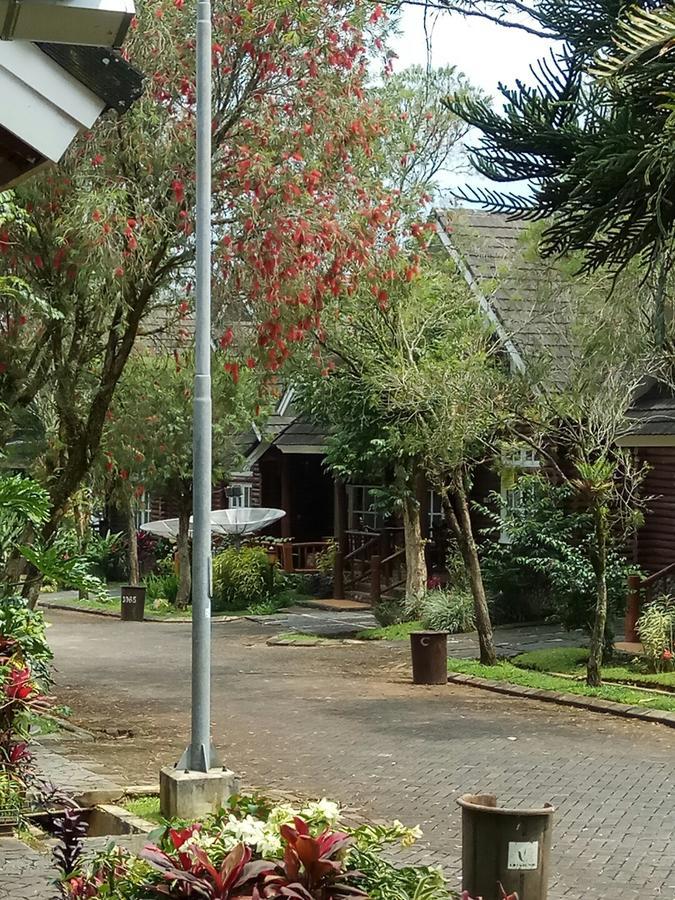 Vila Kota Bunga Private Pool Puncak Exteriér fotografie